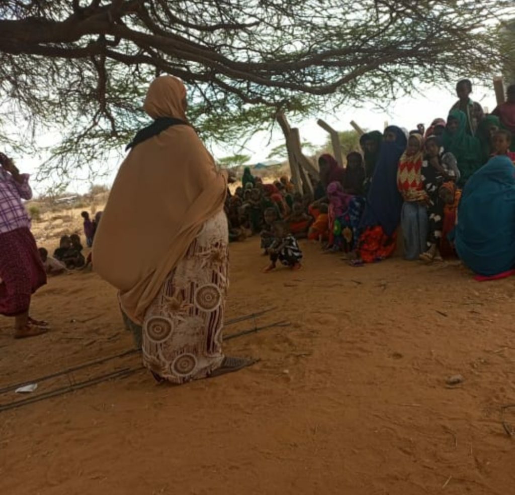 Screenshot_20241028-165657_WhatsApp (2)